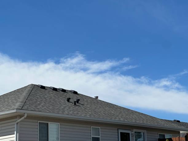 Best Sheet Metal Roofing  in Port Byron, NY